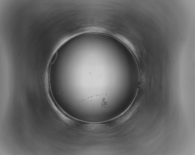 X0000112081391200908041245