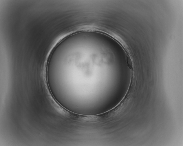X0000112081392200908041245