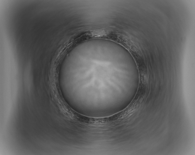 X0000112081393200908041244