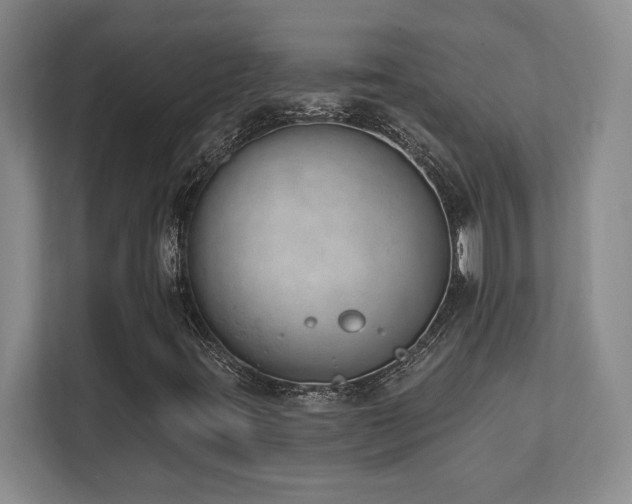 X0000112081395200908041244