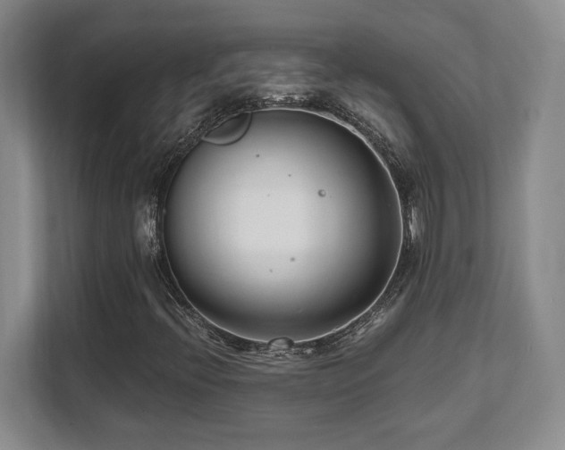 X0000112081396200908041244