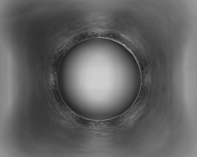 X0000112081397200908041244