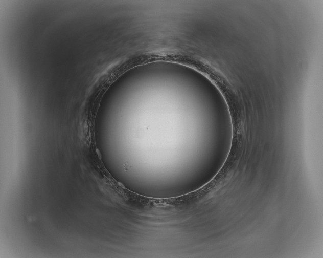 X0000112081398200908041244