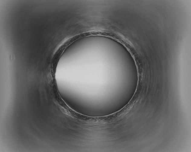 X0000112081400200908041244