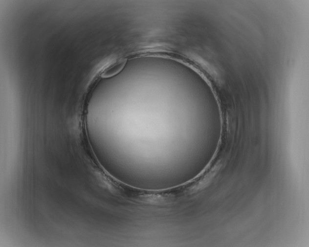 X0000112081405200908041245
