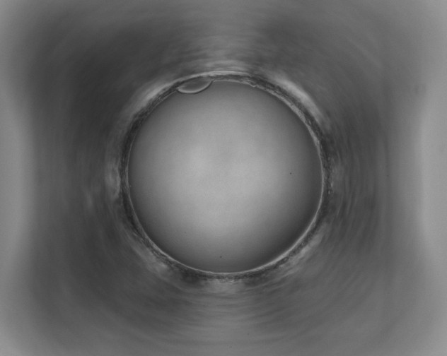 X0000112081407200908041245