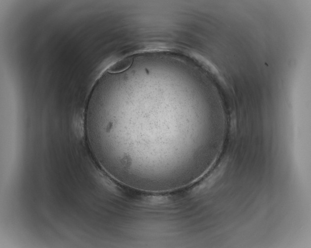 X0000112081409200908041245