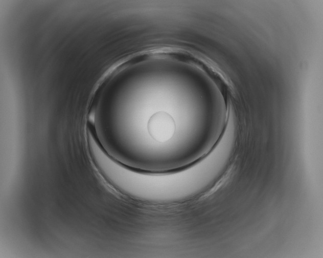 X0000112081417200908041245