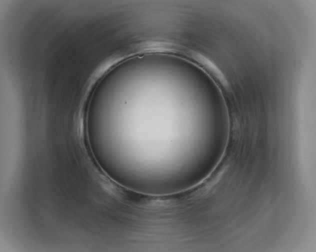 X0000112081419200908041245