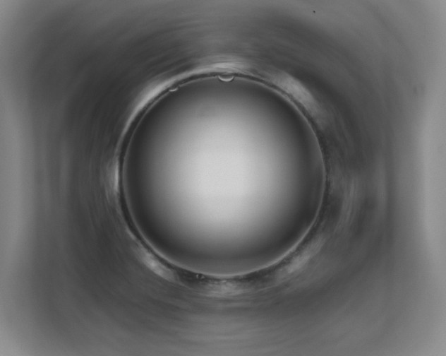 X0000112081420200908041245