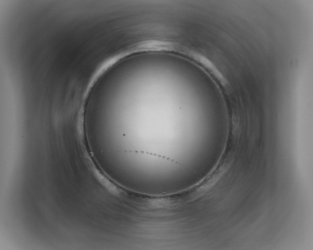 X0000112081421200908041245