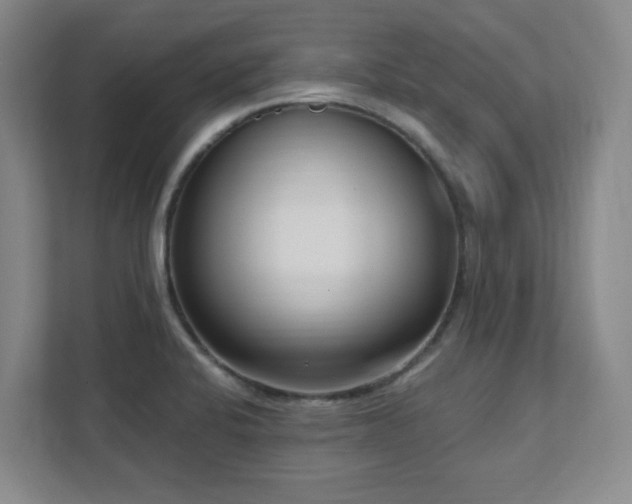 X0000112081424200908041245