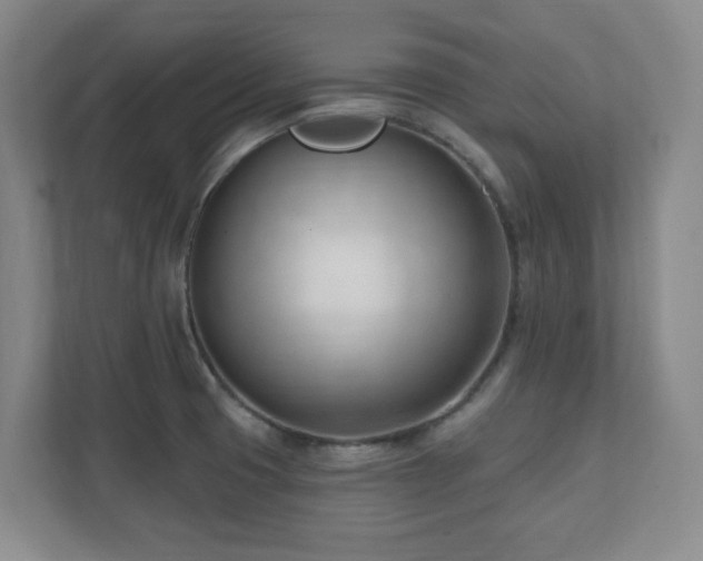 X0000112081425200908041245