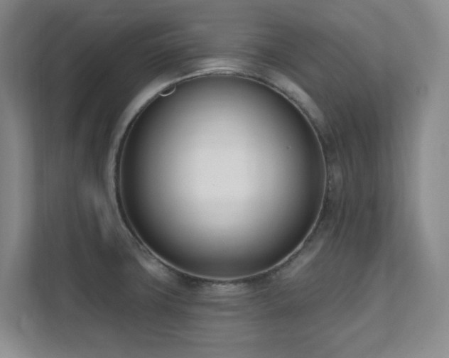 X0000112081427200908041245