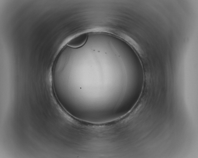 X0000112081428200908041245