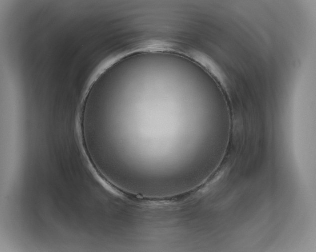 X0000112081429200908041245