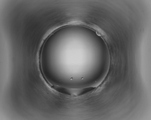 X0000112081430200908041245