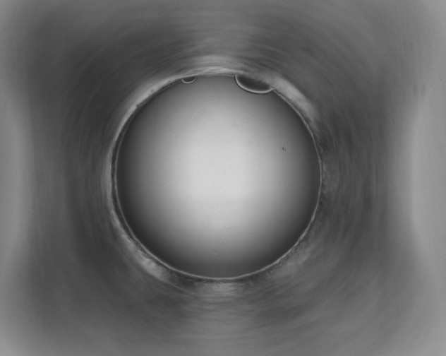 X0000112081431200908041245