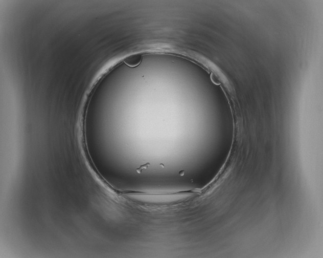 X0000112081432200908041245
