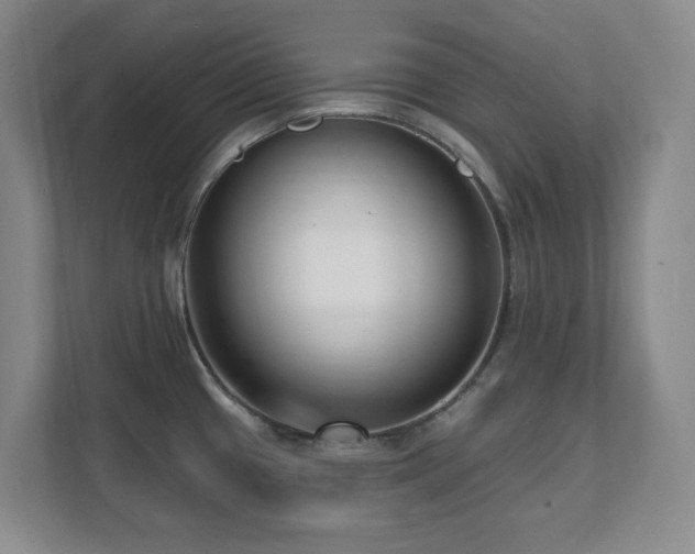 X0000112081433200908041245