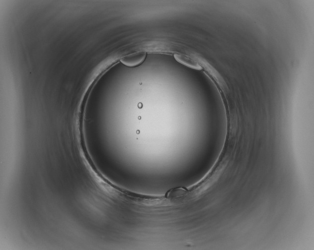 X0000112081434200908041245