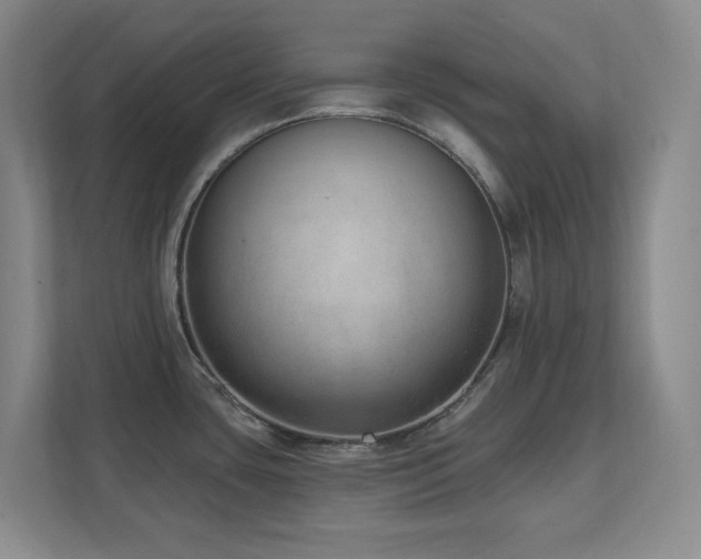 X0000112081435200908041245