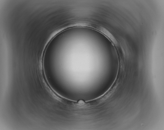 X0000112081436200908041245