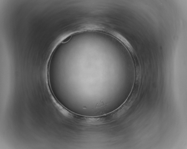 X0000112081439200908041245