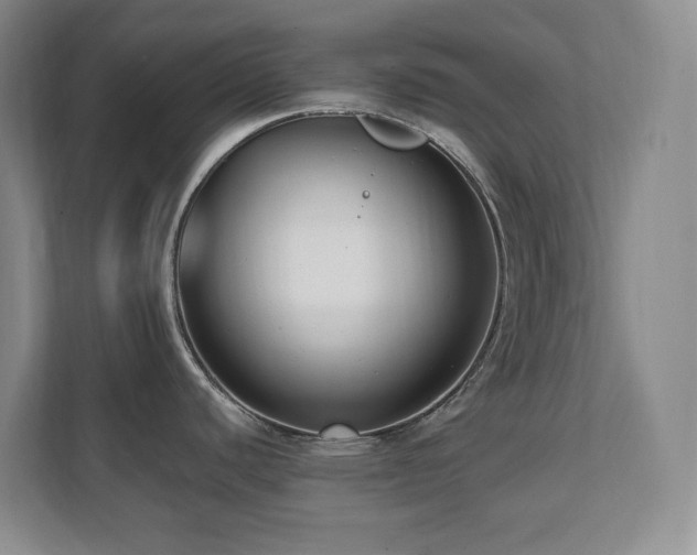 X0000112081440200908041245