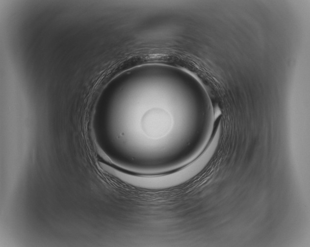 X0000112081441200908041244