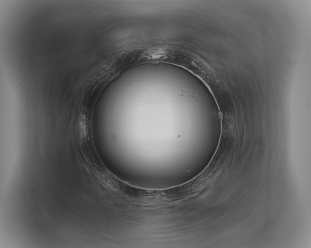 X0000112081442200908041244