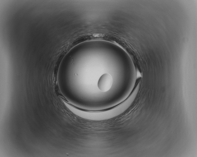 X0000112081443200908041244