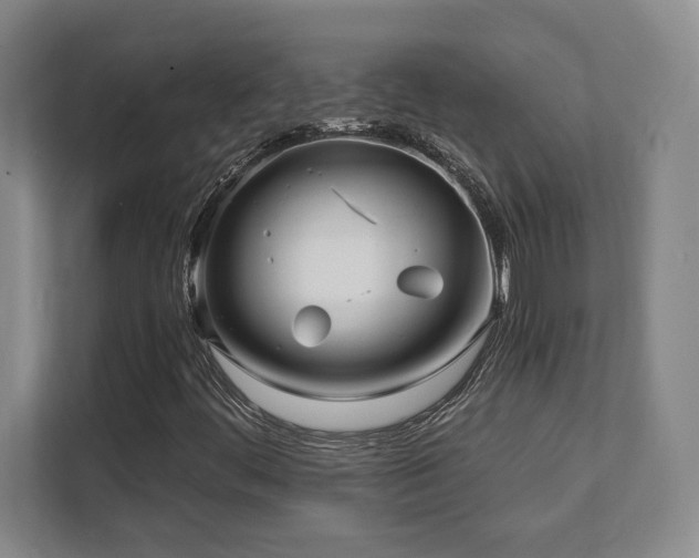 X0000112081444200908041244
