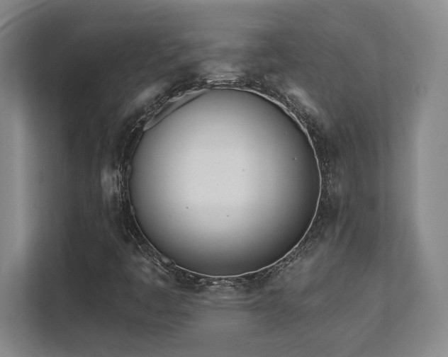X0000112081445200908041244