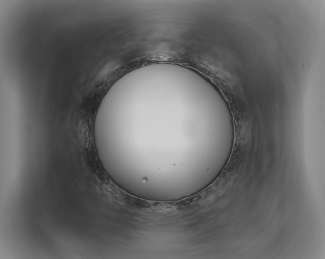 X0000112081446200908041244