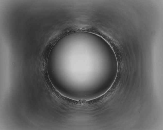 X0000112081447200908041244