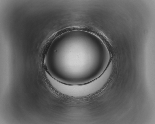 X0000112081448200908041244