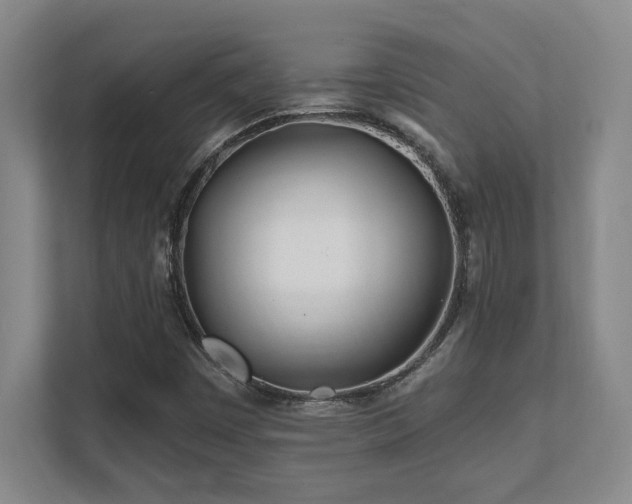 X0000112081449200908041244