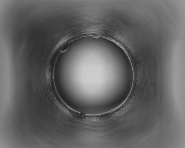 X0000112081450200908041244