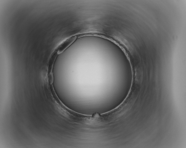 X0000112081452200908041244
