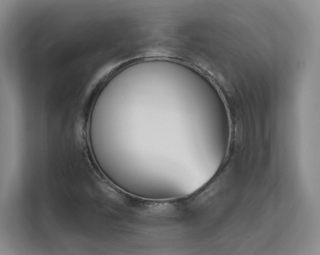 X0000112081454200908041244