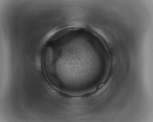 X0000112081455200908041244