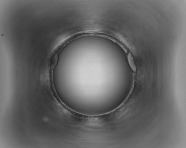 X0000112081456200908041244