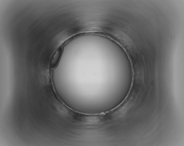 X0000112081457200908041244