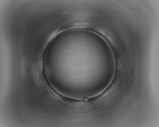 X0000112081459200908041244