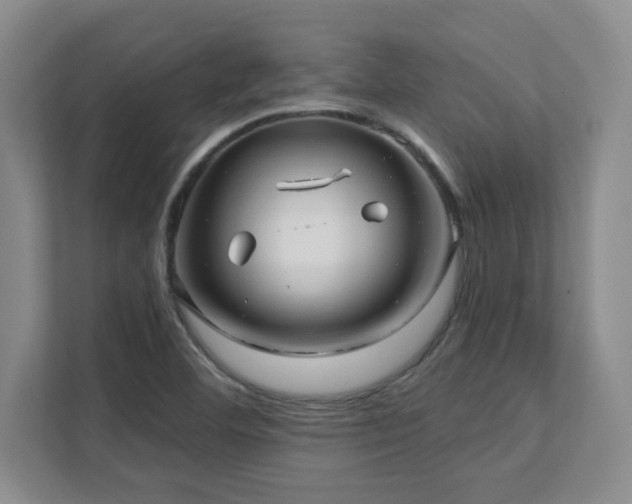 X0000112081460200908041244