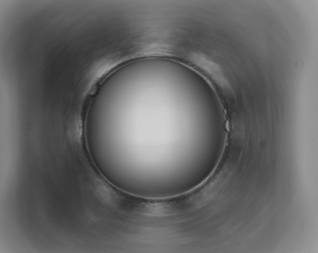 X0000112081461200908041244