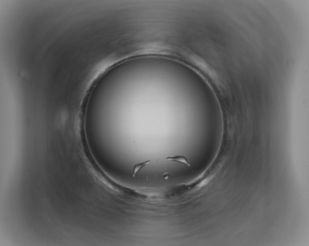 X0000112081463200908041244