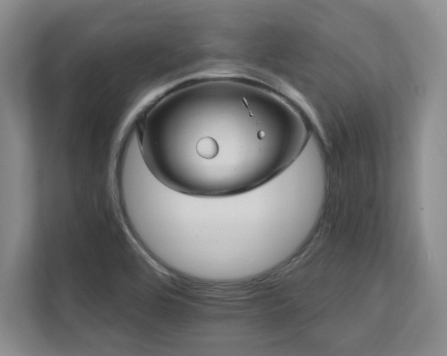 X0000112081464200908041244