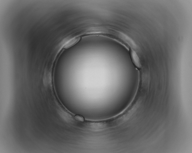 X0000112081465200908041244